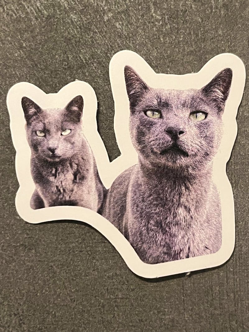 Custom Cat Sticker, Custom Dog Sticker, Pet pictures - Removable Vinyl, Pet Photo print, Dog Cat Mom Dad Gifts photo review