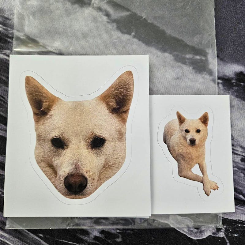 Custom Cat Sticker, Custom Dog Sticker, Pet pictures - Removable Vinyl, Pet Photo print, Dog Cat Mom Dad Gifts photo review