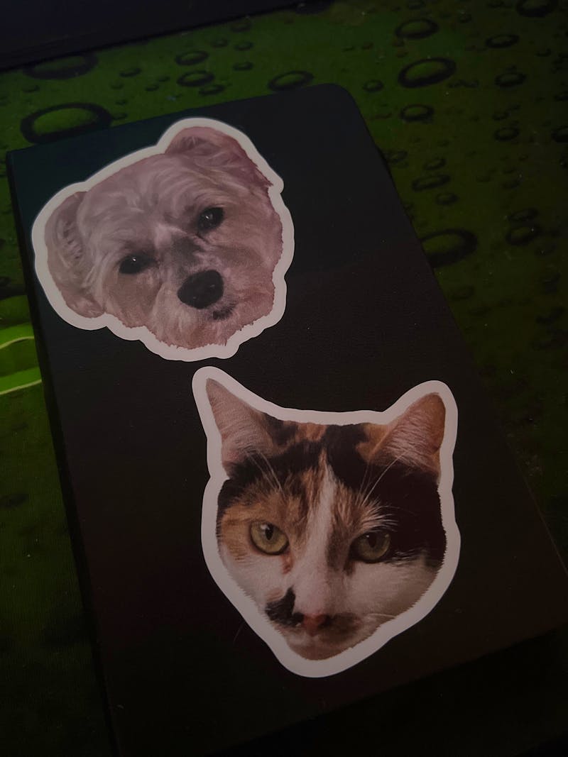 Custom Cat Sticker, Custom Dog Sticker, Pet pictures - Removable Vinyl, Pet Photo print, Dog Cat Mom Dad Gifts photo review