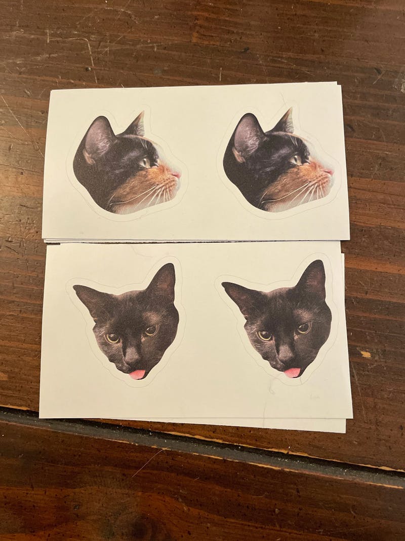 Custom Cat Sticker, Custom Dog Sticker, Pet pictures - Removable Vinyl, Pet Photo print, Dog Cat Mom Dad Gifts photo review